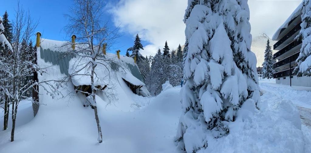 ~Chalet_Rifugio Tra I Boschi~ เซลลา เนเวีย ภายนอก รูปภาพ