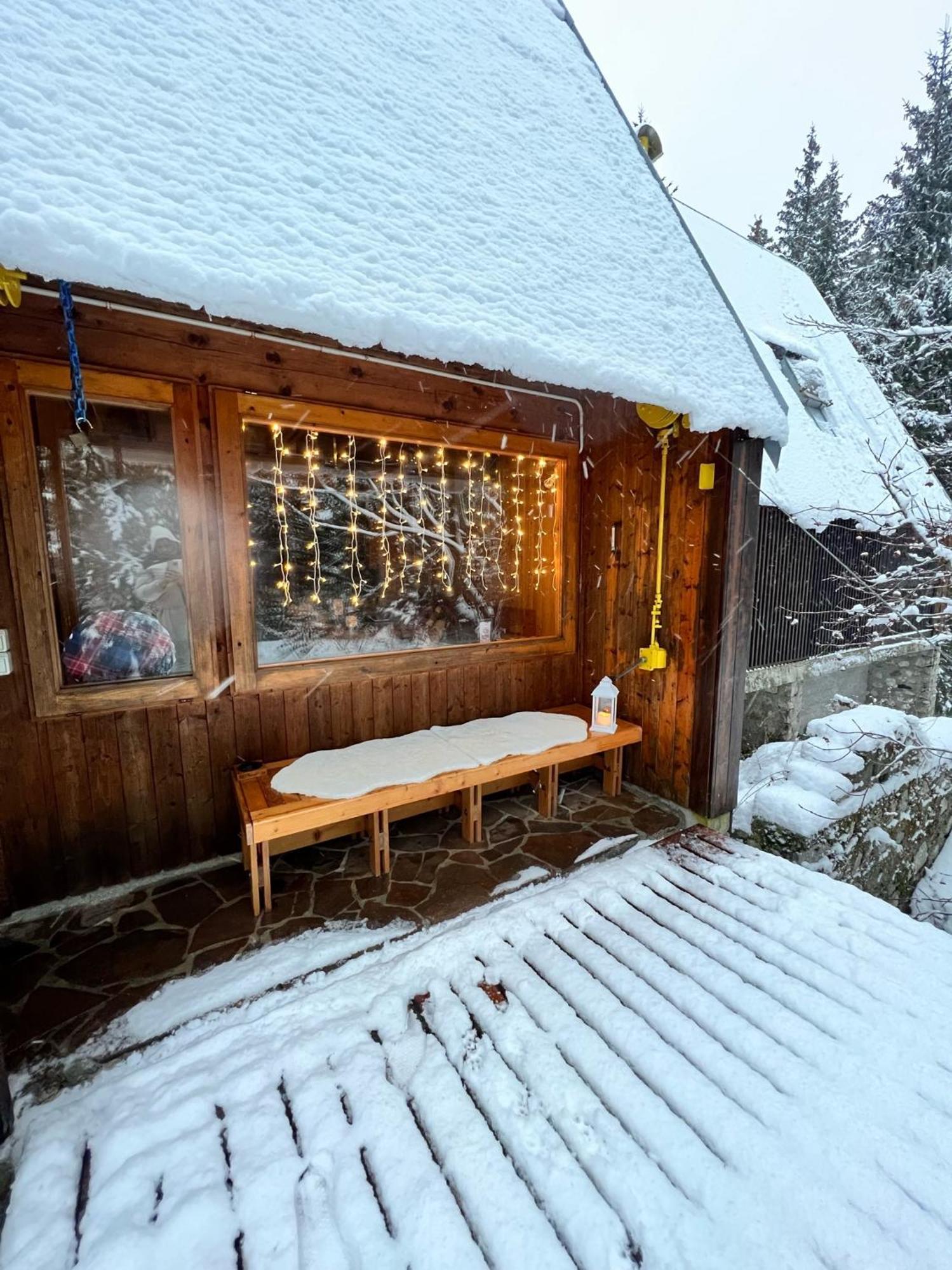 ~Chalet_Rifugio Tra I Boschi~ เซลลา เนเวีย ภายนอก รูปภาพ