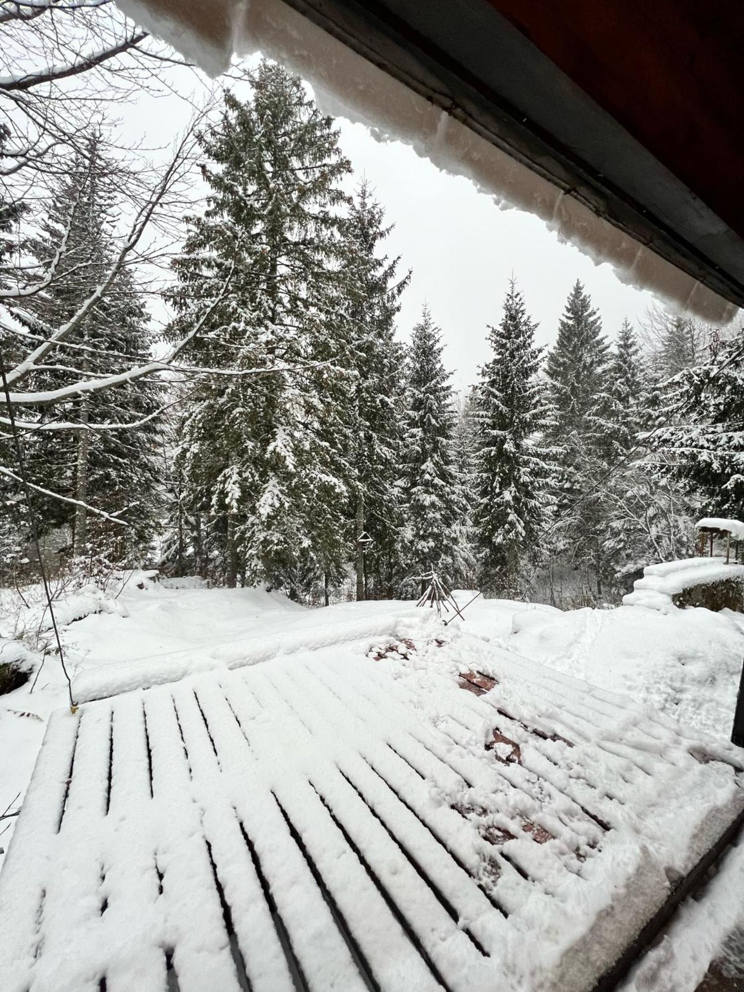 ~Chalet_Rifugio Tra I Boschi~ เซลลา เนเวีย ภายนอก รูปภาพ